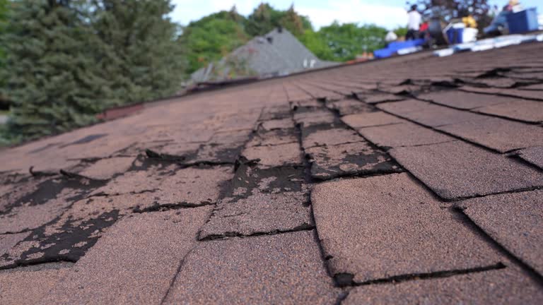 Best Asphalt Shingle Roofing  in Bellaire, OH