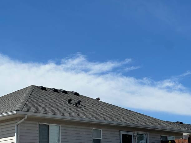 Best Asphalt Shingles Roofing  in Bellaire, OH
